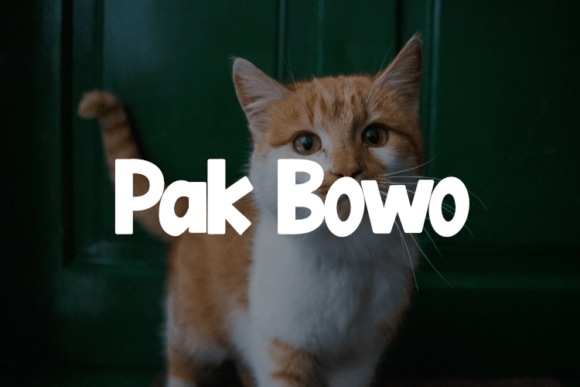 Pak Bowo Font: Elevate Your Brand Identity