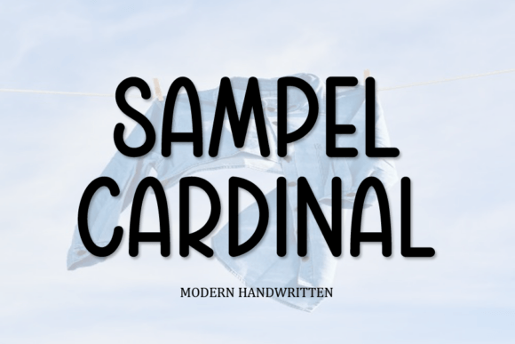 Sampel Cardinal: A Quirky Display Font for Web Design
